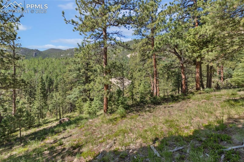 6050 Coffee Pot Rd, Manitou Springs, CO 80829