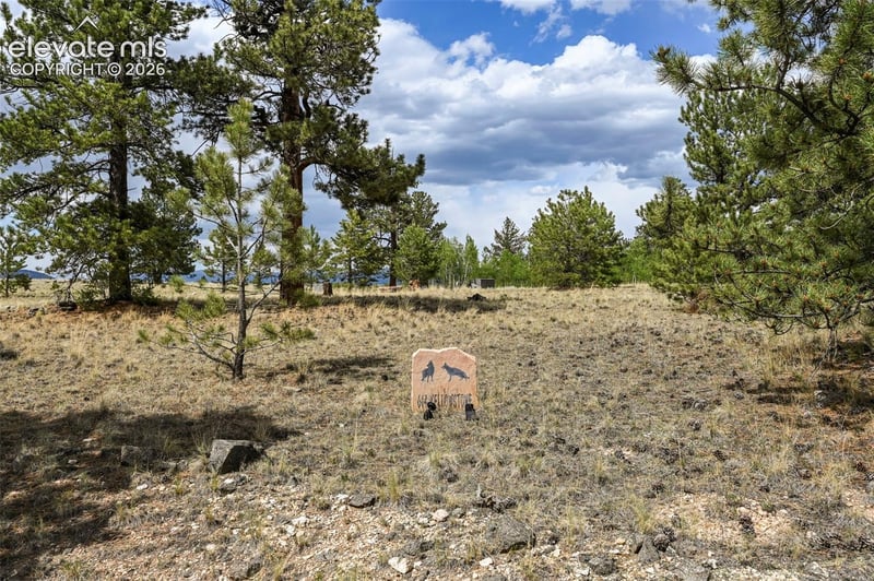 614 Yellowstone Rd, Hartsel, CO 80449