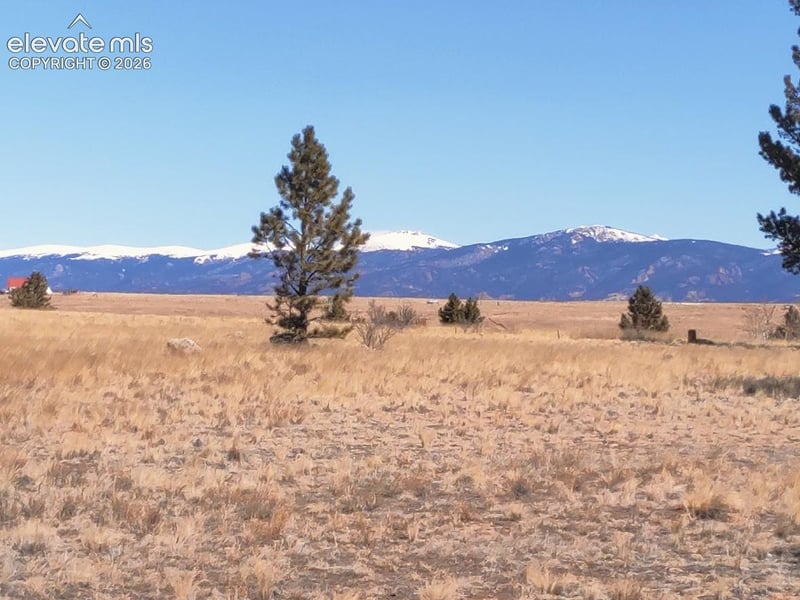 614 Yellowstone Rd, Hartsel, CO 80449