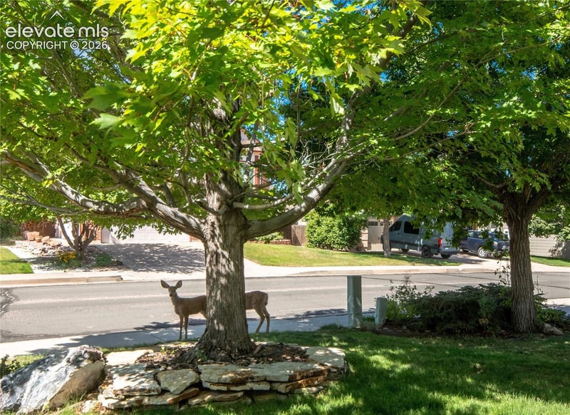6151 Treeledge Dr, Colorado Springs, CO 80918
