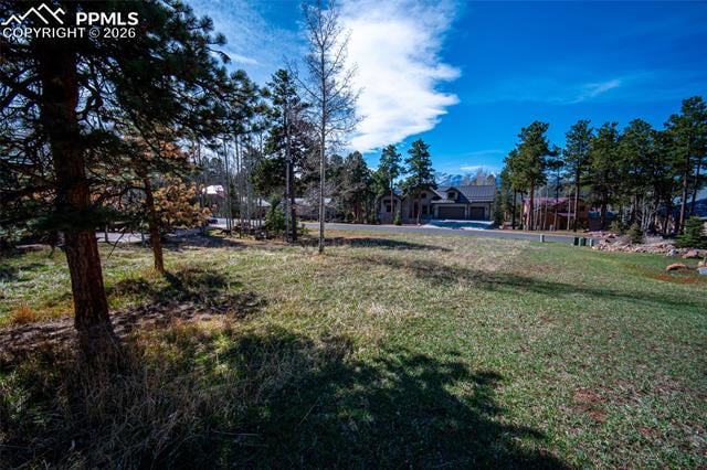 620 Skyline Dr, Woodland Park, CO 80863