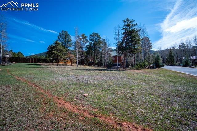 620 Skyline Dr, Woodland Park, CO 80863