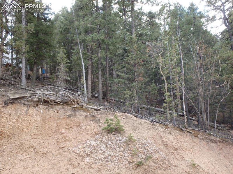 620 Wakanda Trl, Woodland Park, CO 80863