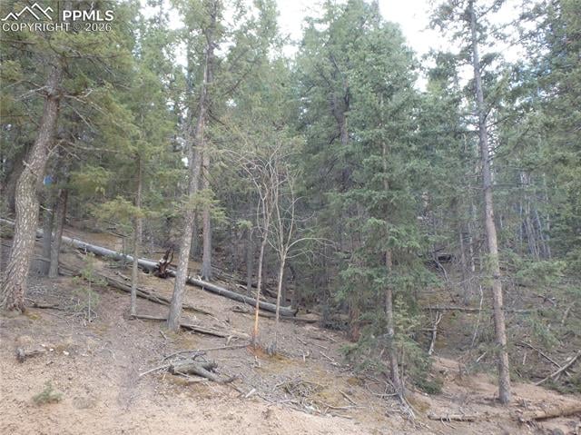 620 Wakanda Trl, Woodland Park, CO 80863