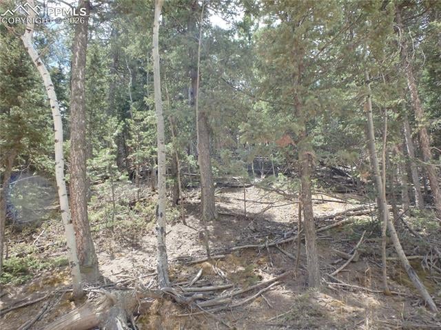 620 Wakanda Trl, Woodland Park, CO 80863