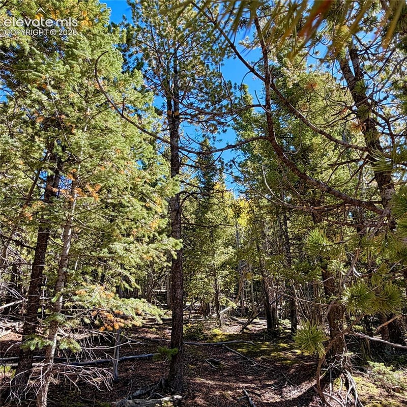 624 Witherite Dr, Divide, CO 80814