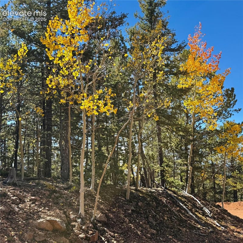 624 Witherite Dr, Divide, CO 80814