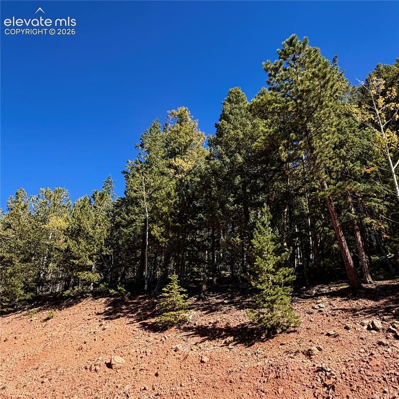 624 Witherite Dr, Divide, CO 80814