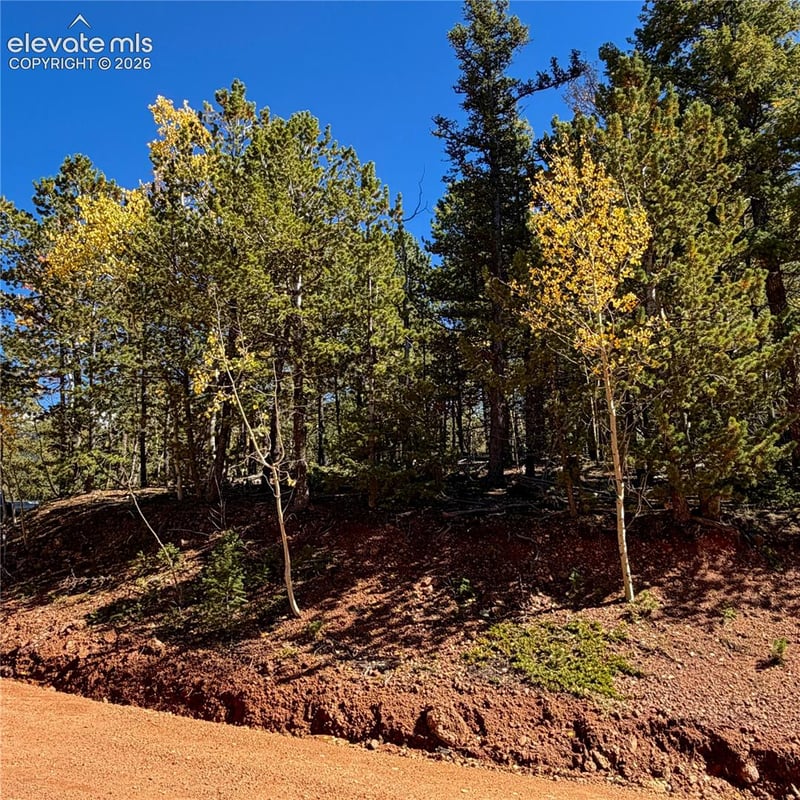 624 Witherite Dr, Divide, CO 80814