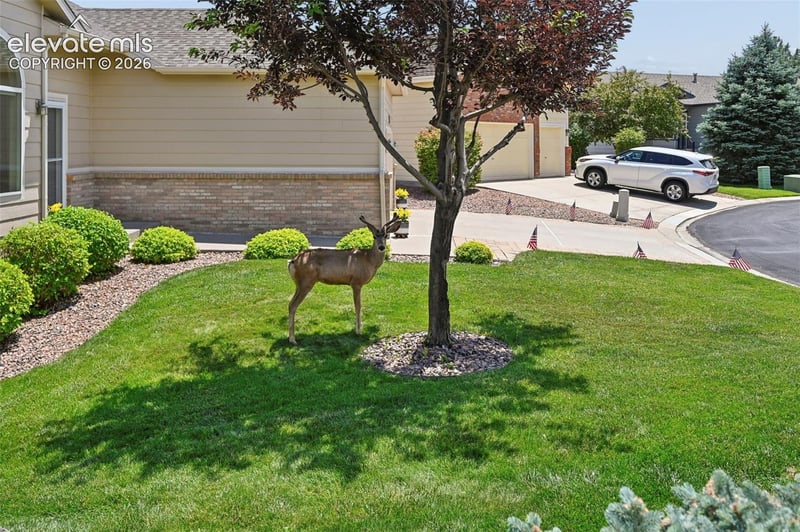 6240 Viewfield Hts, Colorado Springs, CO 80919