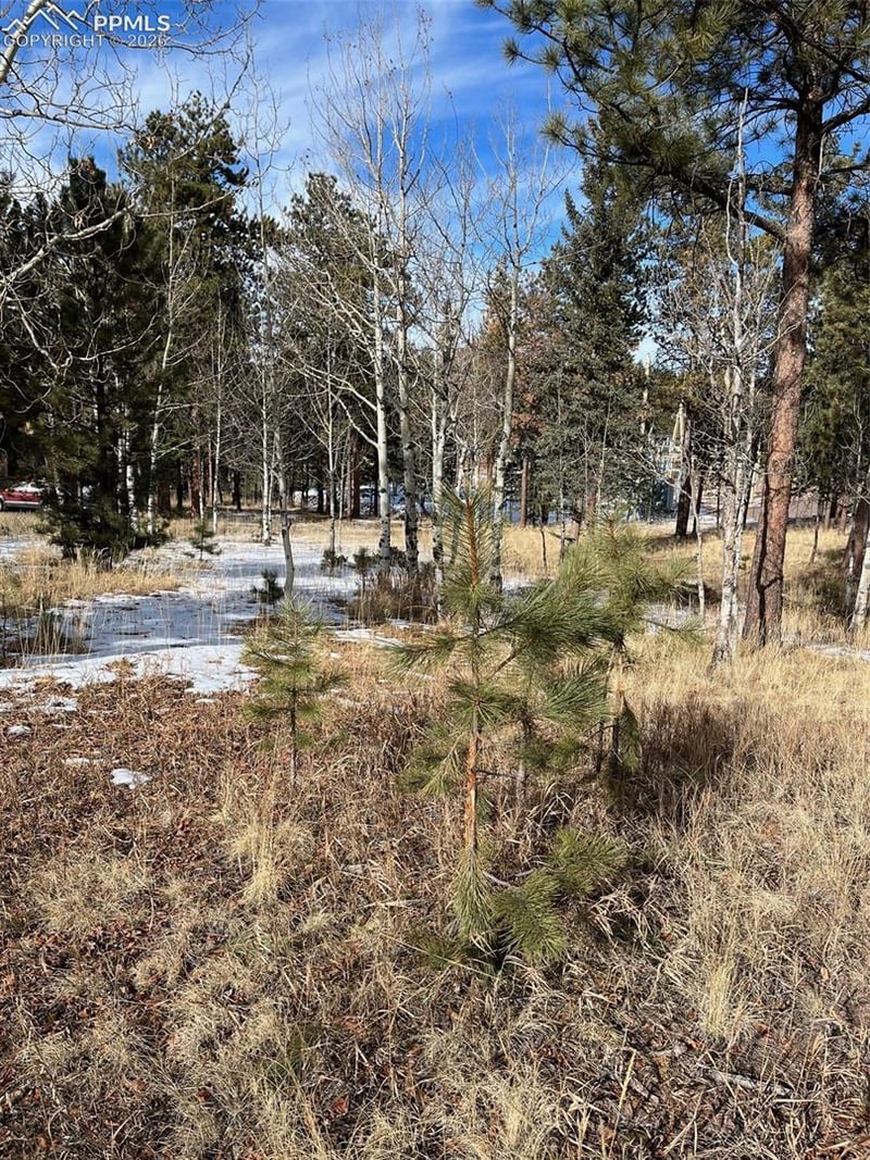 630 Pembrook Dr, Woodland Park, CO 80863