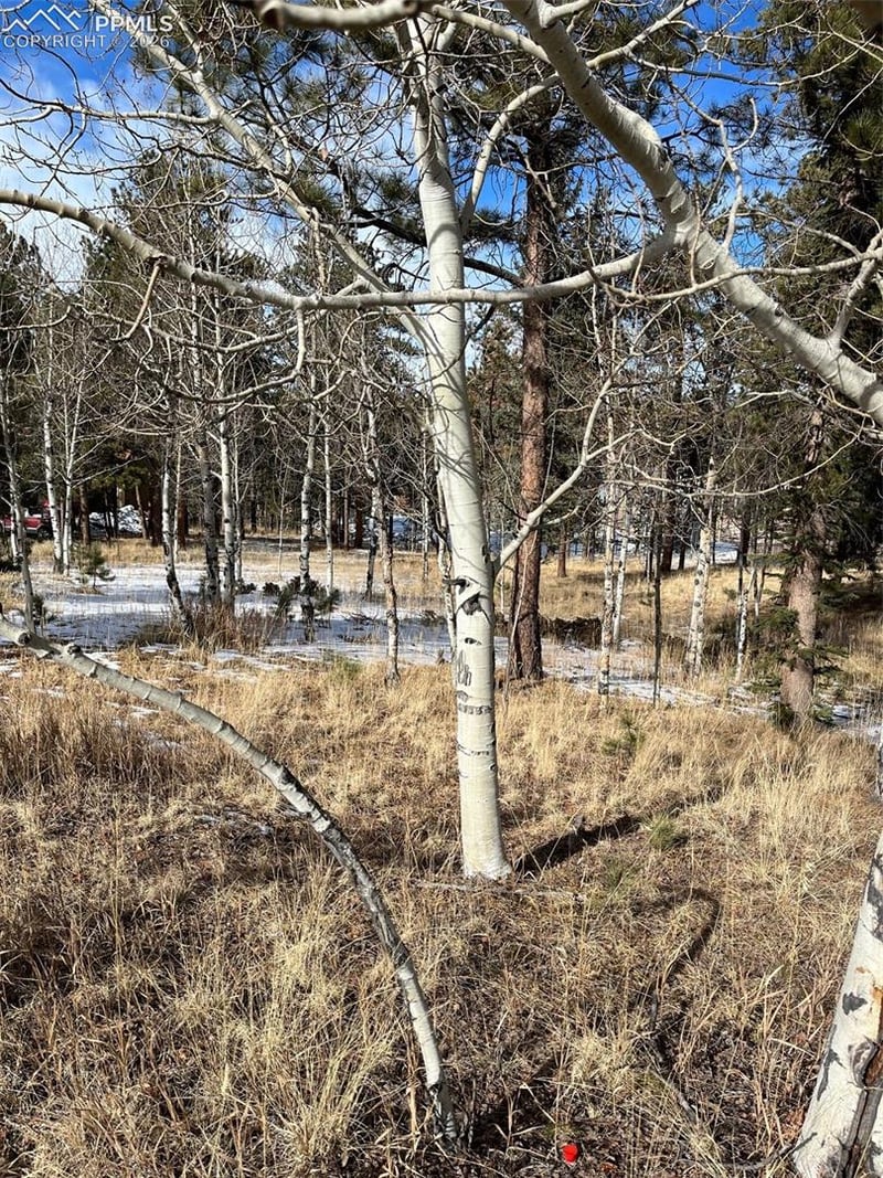 630 Pembrook Dr, Woodland Park, CO 80863