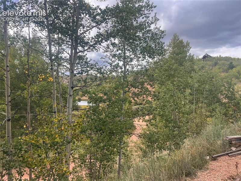 64 Grey Eagle Way, Cripple Creek, CO 80813