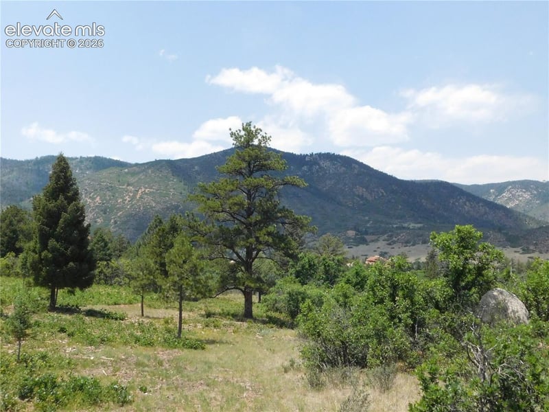 6447 Thunderbird Rd, Larkspur, CO 80118