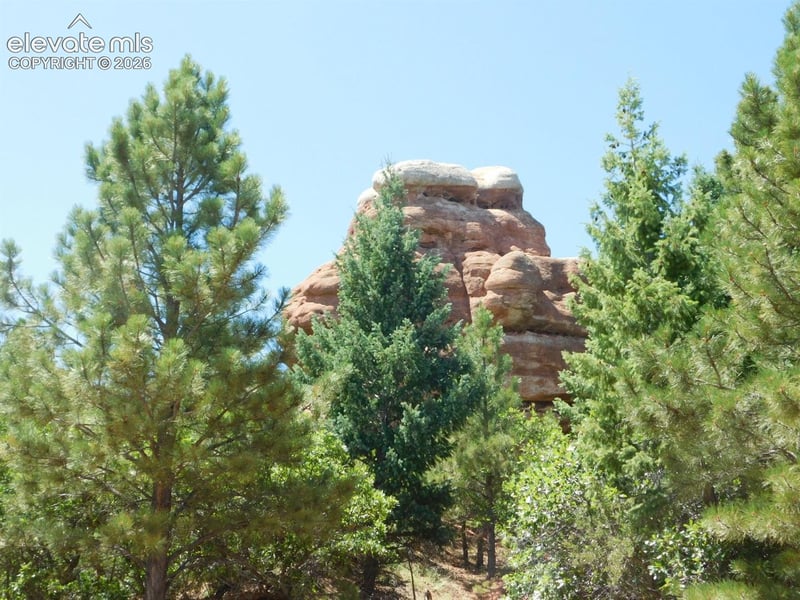 6447 Thunderbird Rd, Larkspur, CO 80118