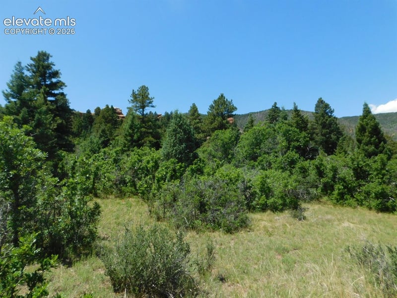 6447 Thunderbird Rd, Larkspur, CO 80118