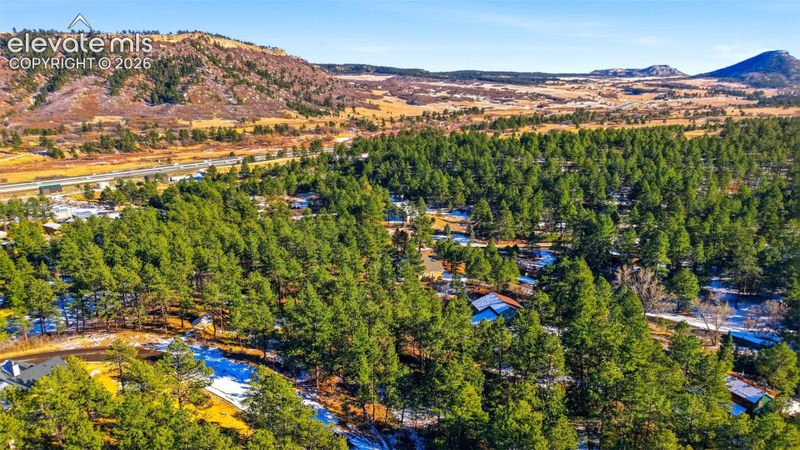 648 Copper Fox Pl, Larkspur, CO 80118