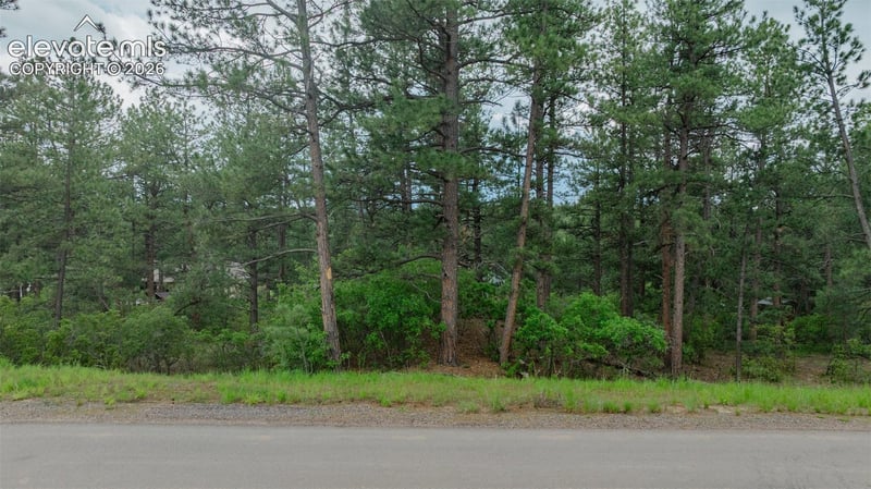 648 Copper Fox Pl, Larkspur, CO 80118