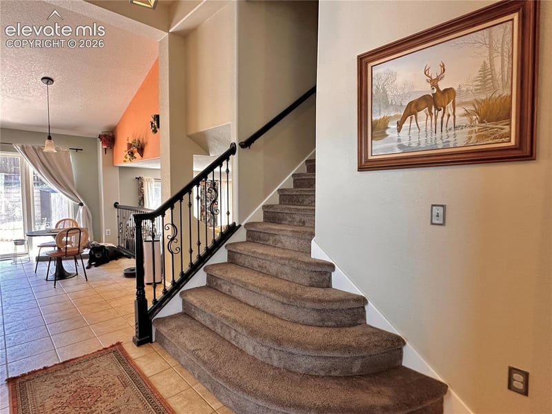 6563 Barrel Race Dr, Colorado Springs, CO 80923
