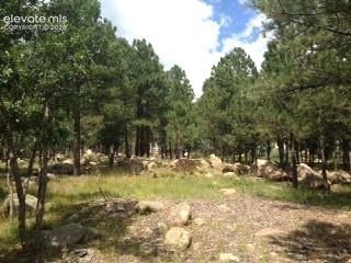 667 Silver Oak Grv, Colorado Springs, CO 80906