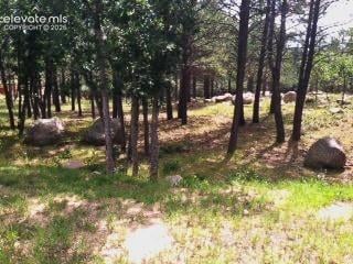 667 Silver Oak Grv, Colorado Springs, CO 80906