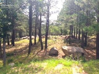 667 Silver Oak Grv, Colorado Springs, CO 80906