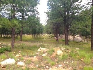 667 Silver Oak Grv, Colorado Springs, CO 80906