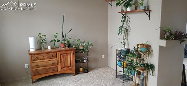 6680 Kari Ct, Colorado Springs, CO 80915