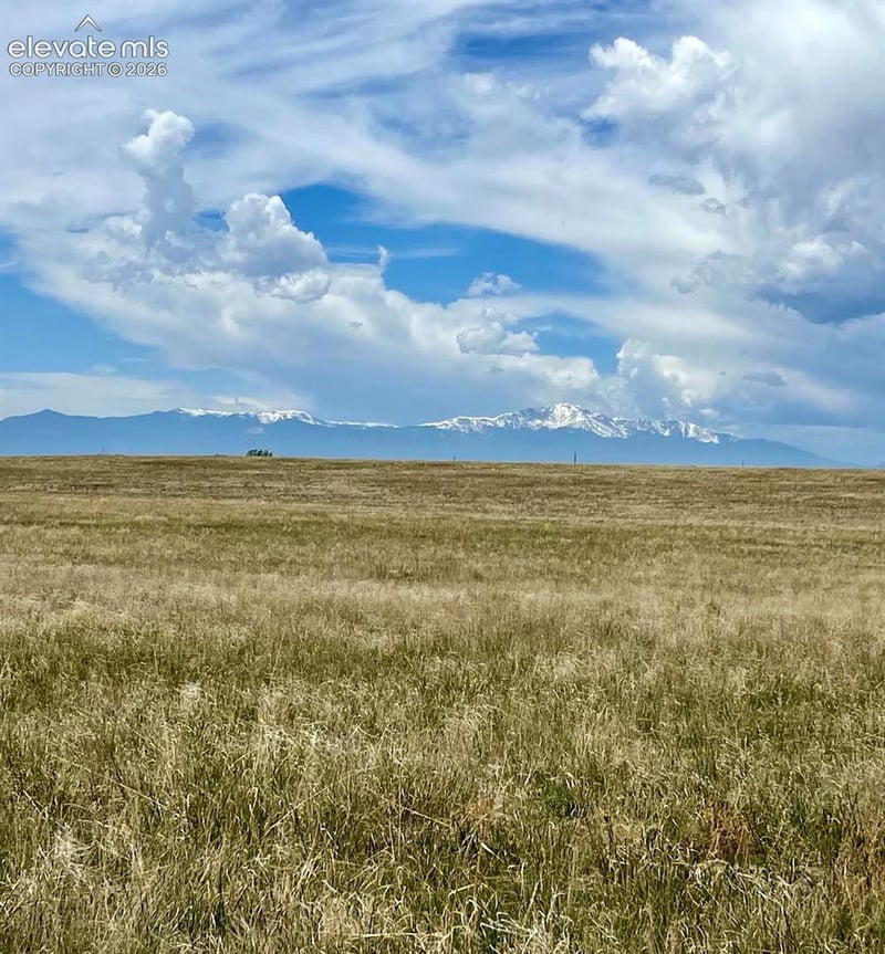 6710 Cowboy Ranch Vw, Peyton, CO 80831