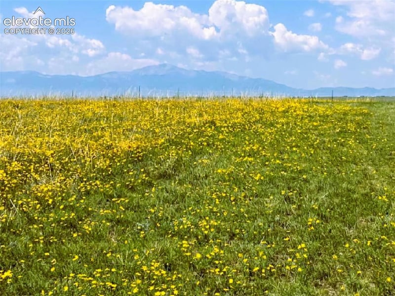 6710 Cowboy Ranch Vw, Peyton, CO 80831