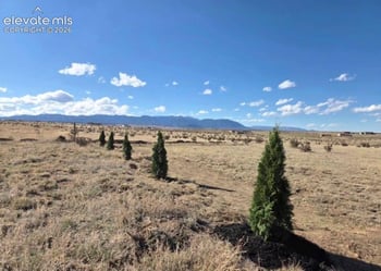 6750 S Straight Arrow Point, Fountain, CO 80817
