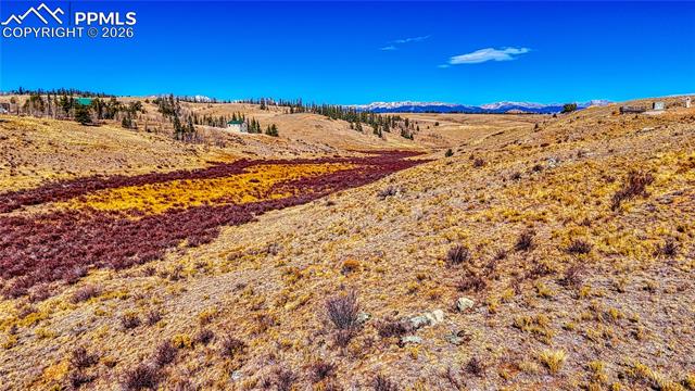 679 Apache Trl, Como, CO 80432