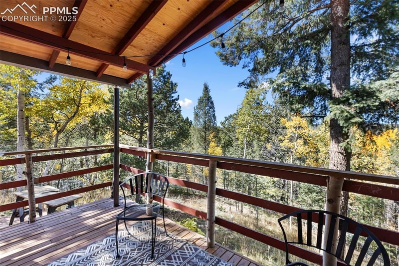 679 Calcite Dr, Divide, CO 80814