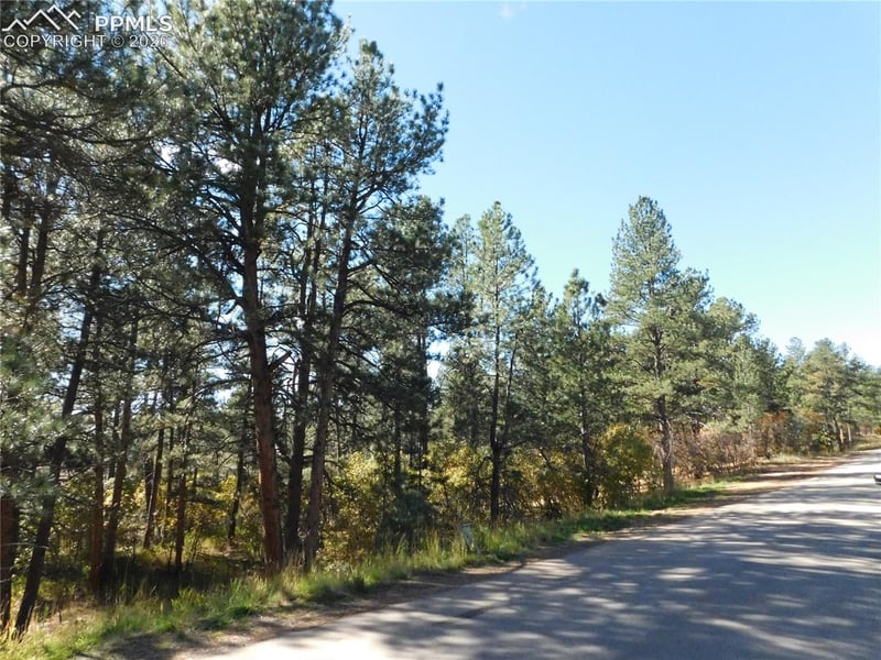 682 Copper Fox Pl, Larkspur, CO 80118