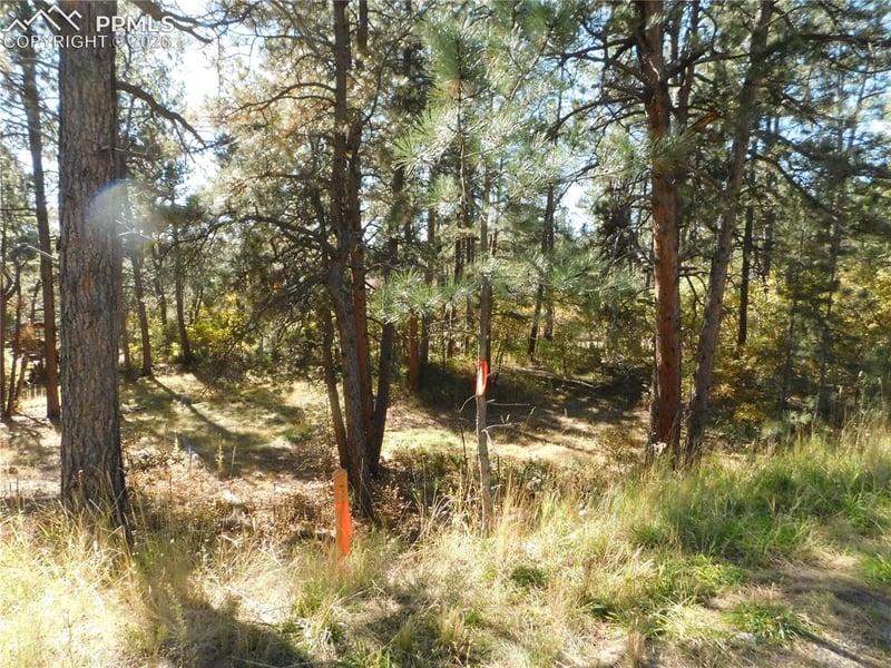 682 Copper Fox Pl, Larkspur, CO 80118