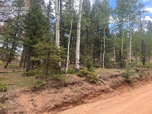 687 Trout Haven Rd, Florissant, CO 80816
