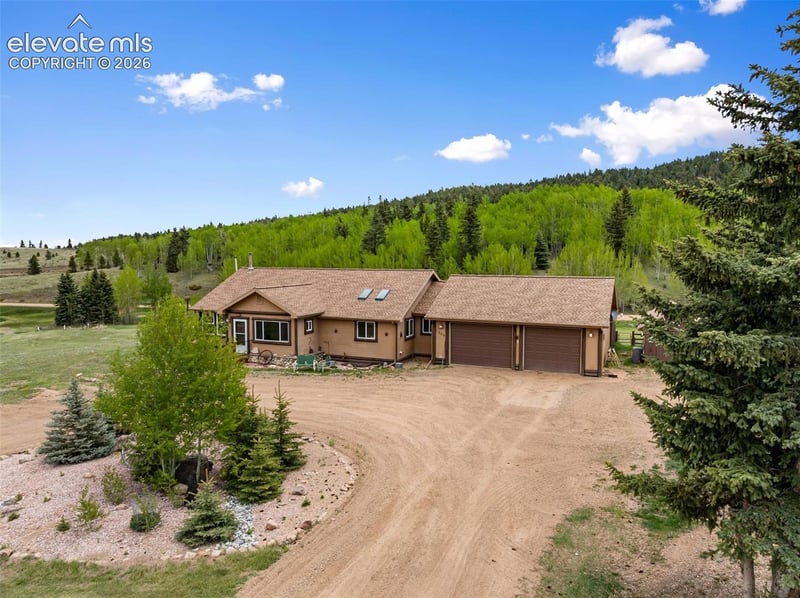 689 Divide South Dr, Divide, CO 80814