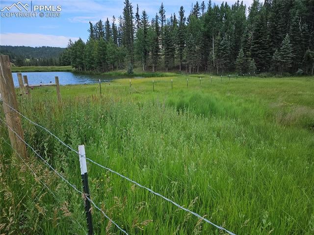 702 Lake Dr, Divide, CO 80814