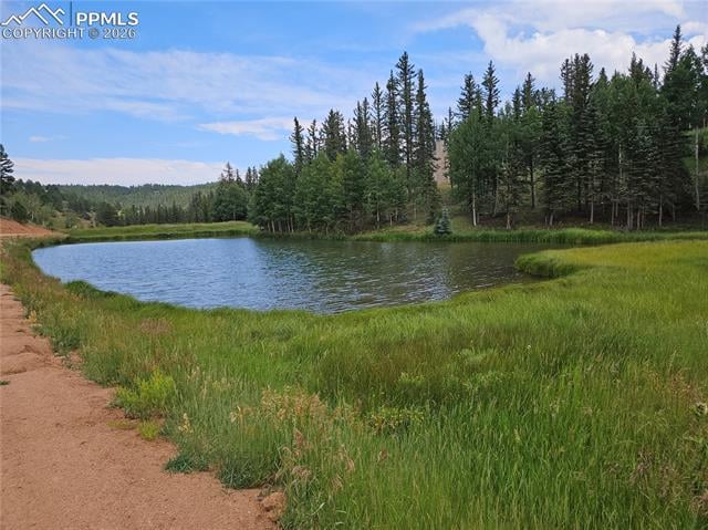 702 Lake Dr, Divide, CO 80814