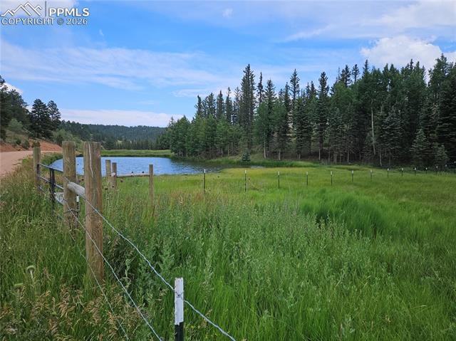 702 Lake Dr, Divide, CO 80814