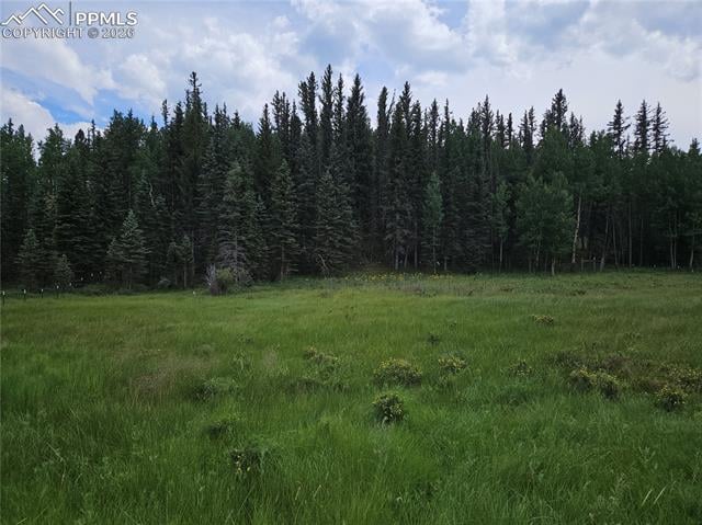 702 Lake Dr, Divide, CO 80814