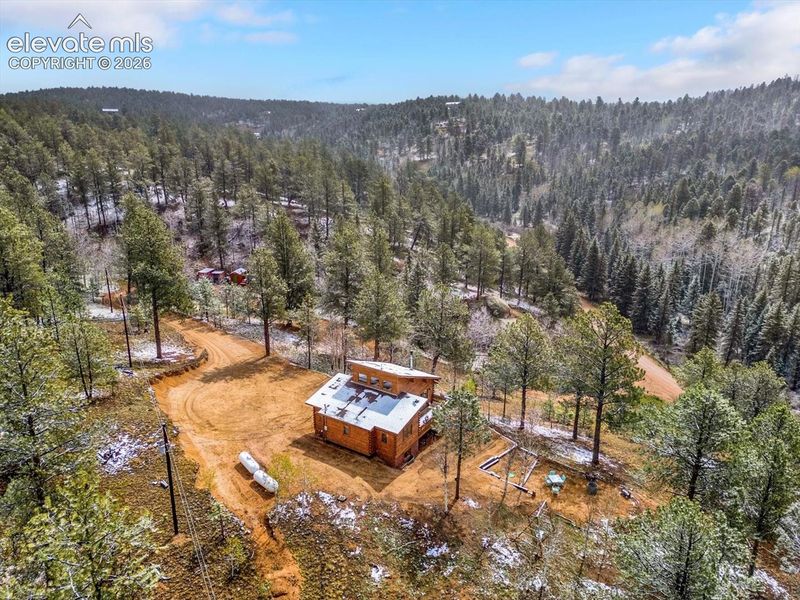 715 W Bison Creek Trl, Divide, CO 80816