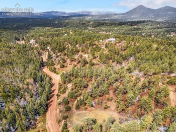 715 W Bison Creek Trl, Divide, CO 80816