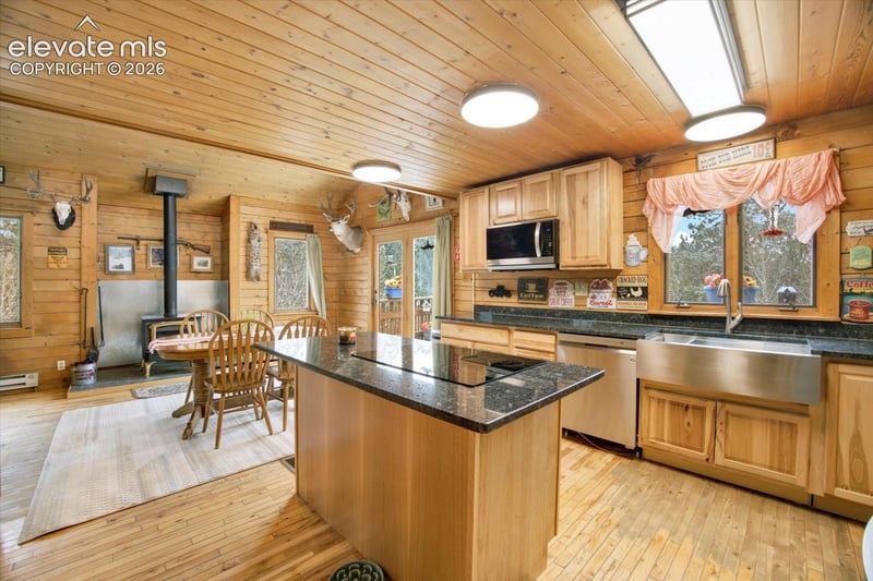 715 W Bison Creek Trl, Florissant, CO 80816