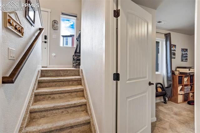 7237 Treebrook Ln, Colorado Springs, CO 80918