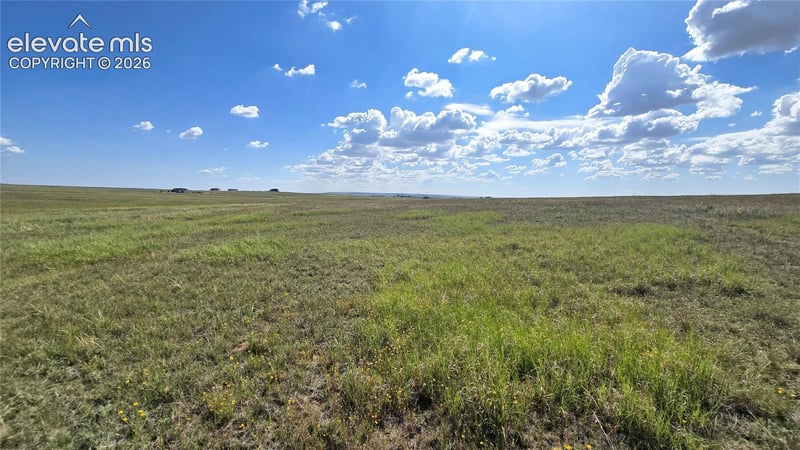 7355 Cowboy Ranch Vw, Peyton, CO 80831
