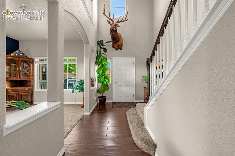 7366 Buffalo Prairie Ct, Colorado Springs, CO 80915
