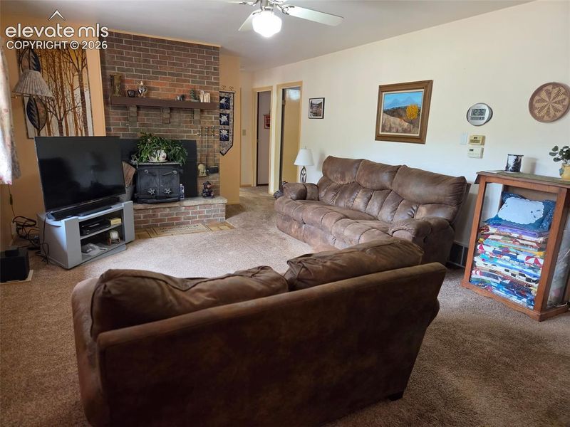 741 Elfin Glen Dr, Divide, CO 80814