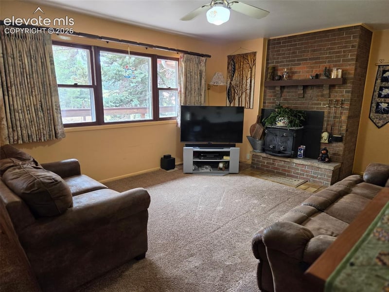 741 Elfin Glen Dr, Divide, CO 80814