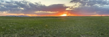 7506 Buckskin Ranch Vw, Peyton, CO 80831